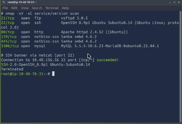 nmap service and version scan plus the netcat SSH banner