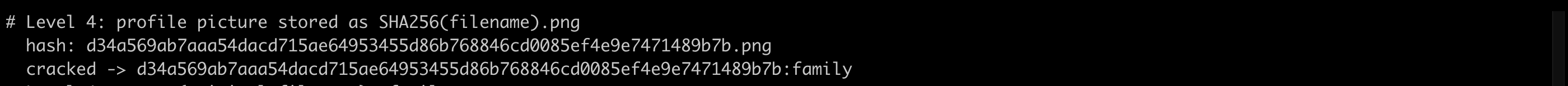 Hashcat cracks the profile-picture SHA256 to the original filename: family