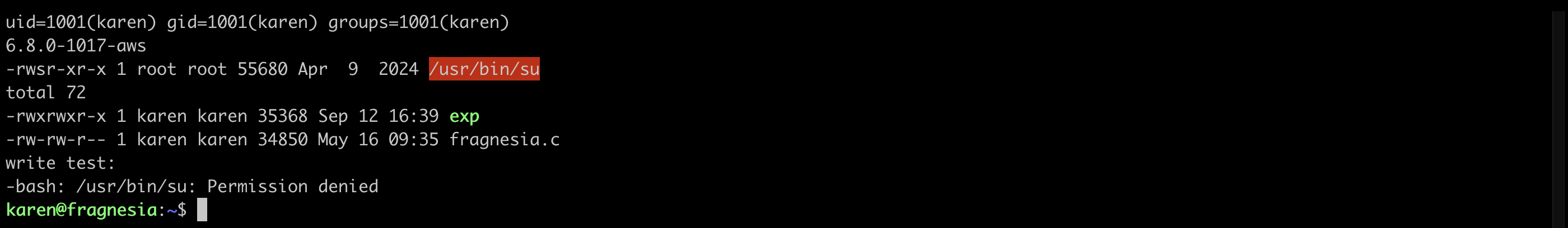 Terminal showing karen&rsquo;s uid, kernel 6.8.0-1017-aws, the root-owned setuid /usr/bin/su, the exploit source directory, and a write attempt to /usr/bin/su rejected with Permission denied