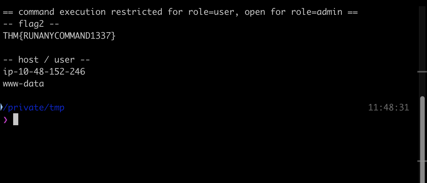 cat /home/ubuntu/flag.txt through the admin command endpoint, running as www-data on the target host