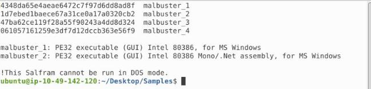 Terminal showing md5sum of the four malbuster samples, file output identifying malbuster_1 as PE32 Intel 80386 and malbuster_2 as a Mono/.Net assembly, and the DOS stub string reading This Salfram cannot be run in DOS mode