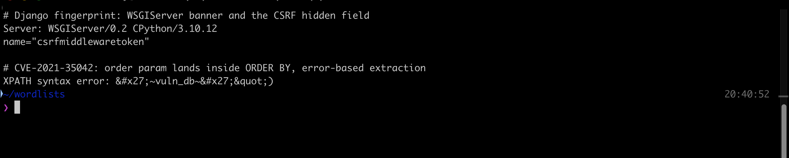 Terminal output showing the Django WSGIServer banner, the csrfmiddlewaretoken hidden field, and an XPATH syntax error leaking the database name vuln_db