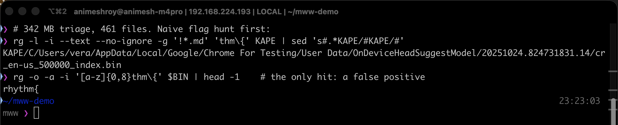 Terminal: a full-disk ripgrep for thm{ across the KAPE triage returns only a Chrome autocomplete model file, whose match is the word rhythm