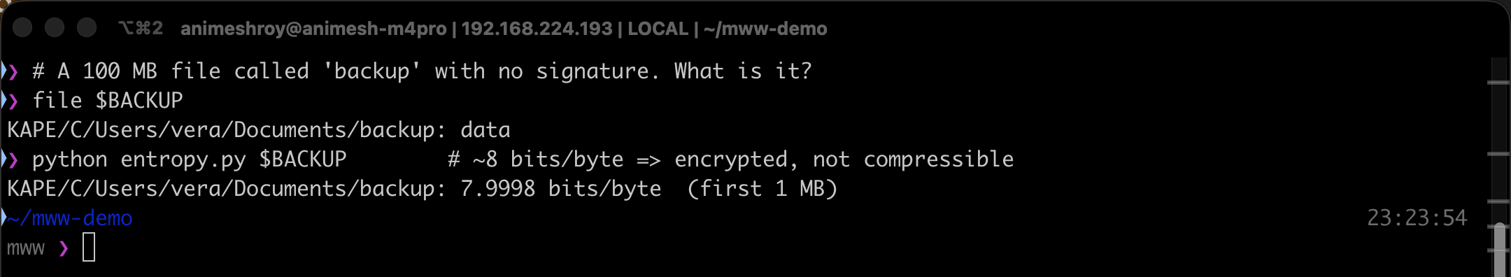 Terminal: file reports the backup as data, and an entropy calc reports 7.9998 bits per byte, meaning the content is encrypted
