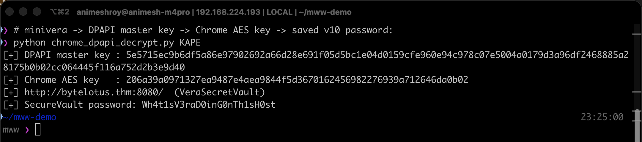 Terminal: a Python script prints the recovered DPAPI master key, the Chrome AES key, and the decrypted SecureVault password Wh4t1sV3raD0inG0nTh1sH0st