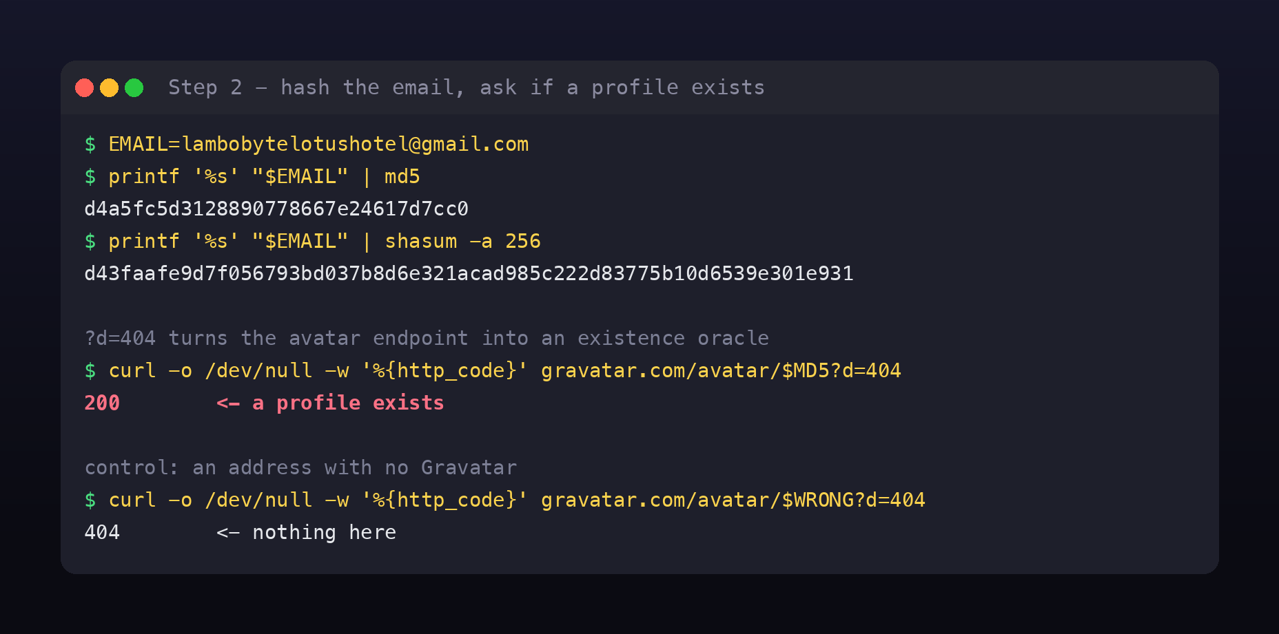 Terminal showing MD5 and SHA-256 of the email, the avatar endpoint returning 200 for the real address, and 404 for a control address with no Gravatar
