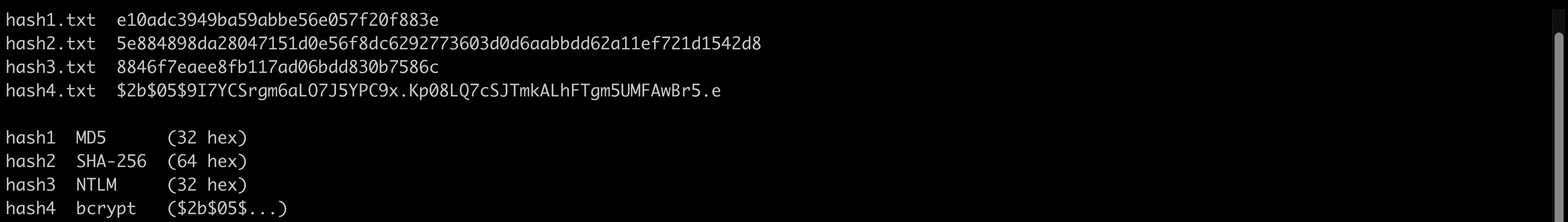 The four hash files with their identified algorithms: MD5, SHA-256, NTLM, and bcrypt