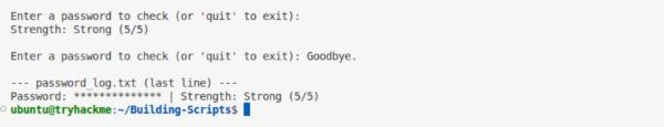 password_checker.py reporting Strong 5/5 and the masked log line