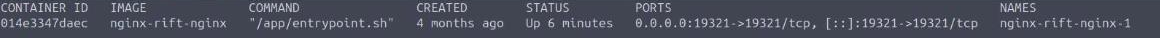 docker ps showing the nginx-rift-nginx-1 container mapped on port 19321