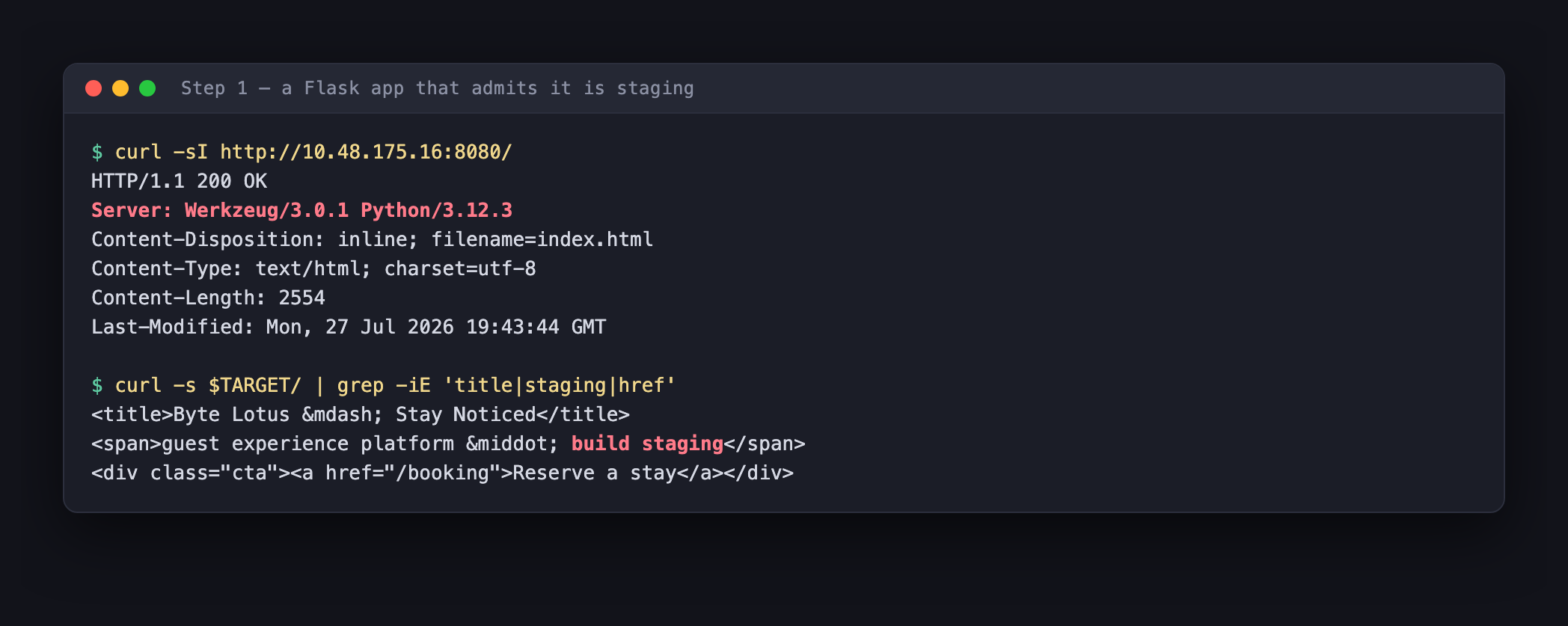 curl response headers showing Server Werkzeug 3.0.1 Python 3.12.3, and page content with a build staging footer