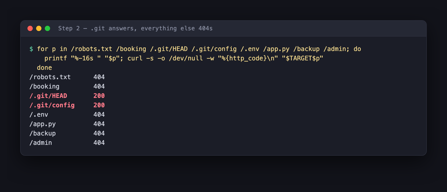 Path probe results showing 404 for most paths but 200 for /.git/HEAD and /.git/config