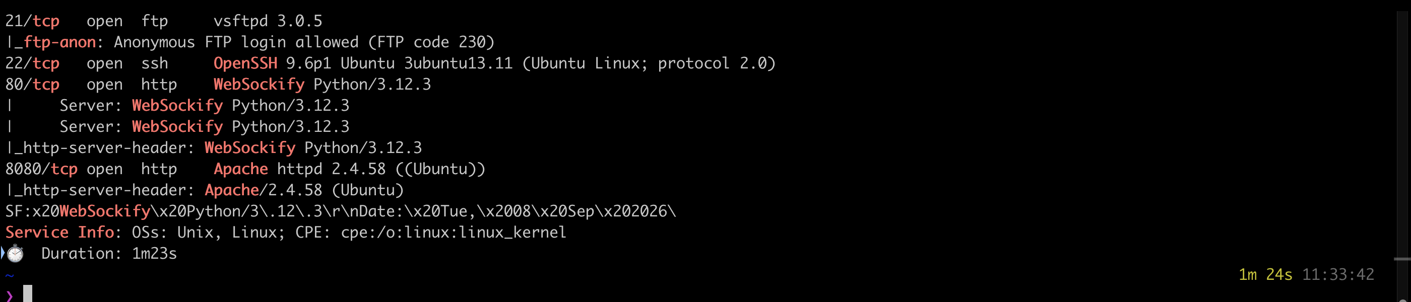 Nmap service scan showing FTP, SSH, WebSockify and Apache
