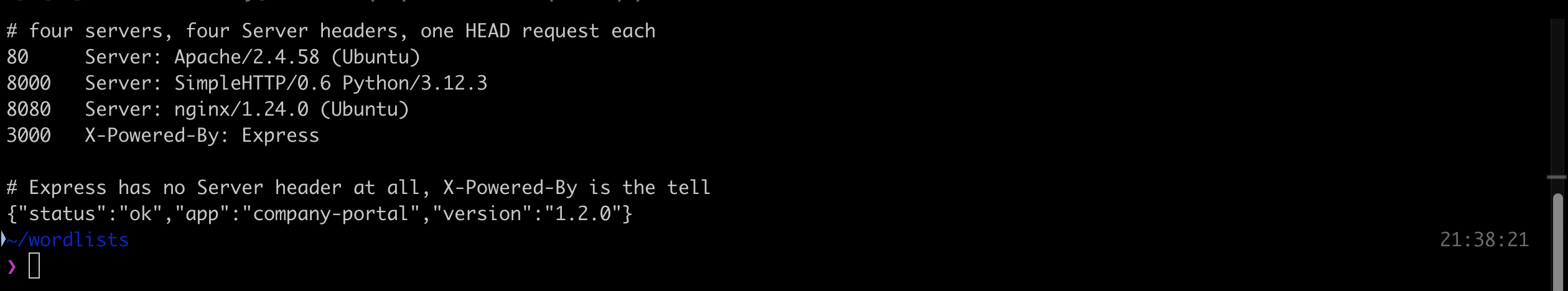 Terminal output showing Server headers for Apache 2.4.58, SimpleHTTP 0.6 Python 3.12.3 and nginx 1.24.0, plus the X-Powered-By Express header on port 3000