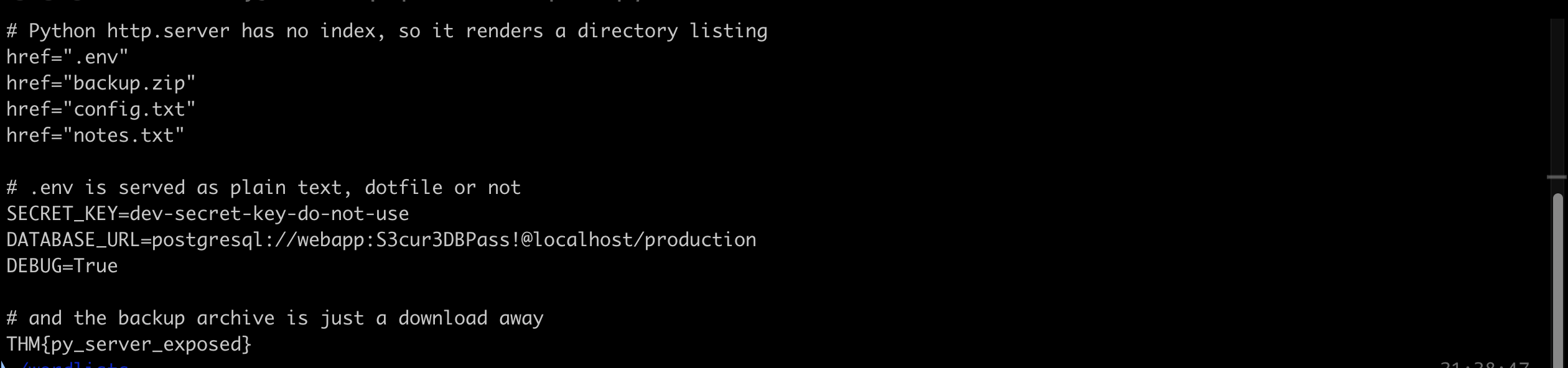 Terminal output showing the Python http.server directory listing with .env, backup.zip, config.txt and notes.txt, the .env contents including the database password, and the flag extracted from the backup archive