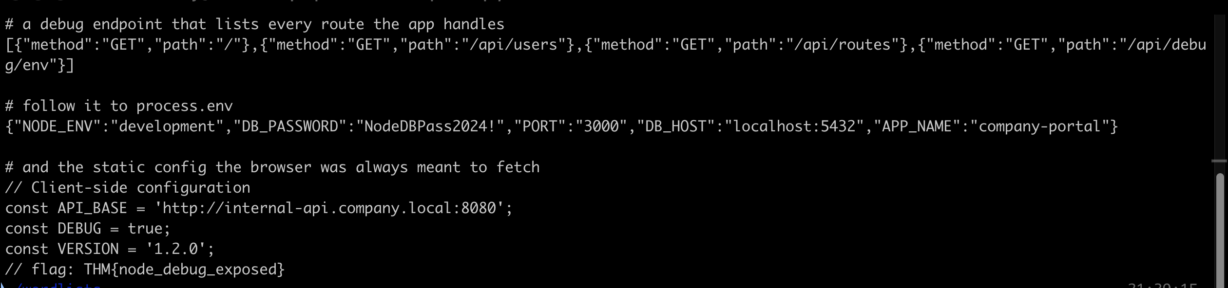 Terminal output showing the Express api slash routes endpoint listing four routes, the debug env endpoint exposing NODE_ENV development and a database password, and the static config.js file containing the flag