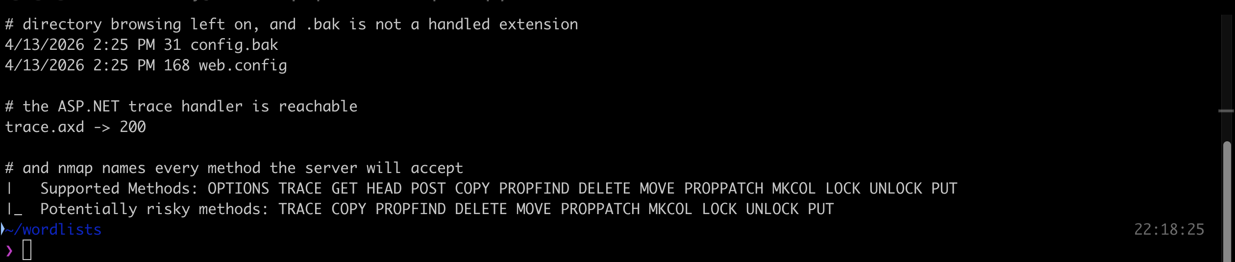 Terminal output showing the uploads directory listing with config.bak and web.config, trace.axd returning 200, and nmap http-methods listing every supported and risky HTTP method