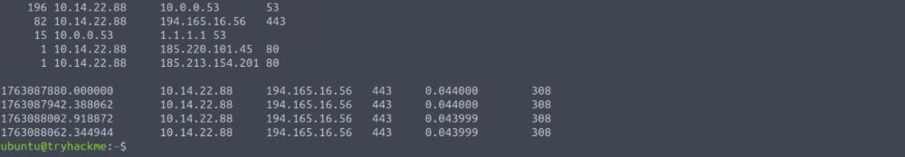 Terminal output ranking connection triplets, with 196 DNS sessions and 82 sessions to 194.165.16.56 on port 443, followed by four beacon rows each 0.044 seconds long and 308 bytes