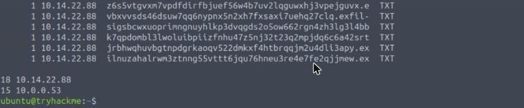 Terminal output showing six long Base32 labels under exfil-channel.net from 10.14.22.88 all with qtype TXT, then a count of 18 long queries from 10.14.22.88 and 15 from 10.0.0.53